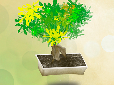 Bonsai illustration - ProcreateApp