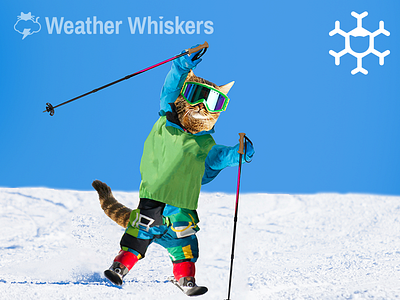 Ski Cat app cats cats in clothes color icon lol cat weather weather whiskers