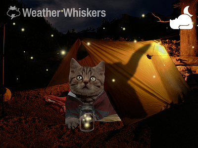 Partly Cloudy Night cat camping cats cats in clothes cute icon light lol cat weather