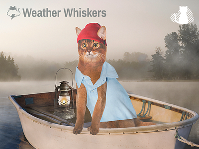 Steve Zissou Inspired Cat app cat cats cats in clothes icon life aquatic logo water weather