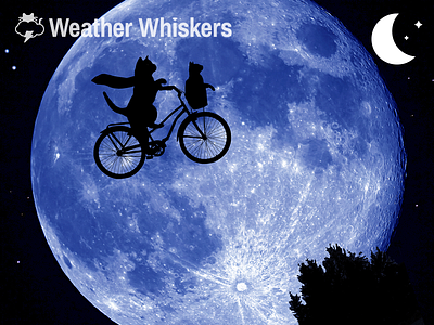 E.T. android animals app art bicycle cat cat in clothes clothes icon ios night weather