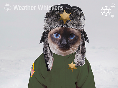 Fargo animals app cats in clothes cold hat icon lol cats star weather winter
