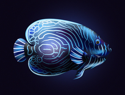 emperor angelfish design fish fishes illustraion illustration illustrator noise noise shadow series vector