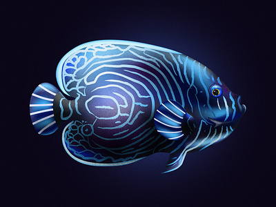 emperor angelfish design fish fishes illustraion illustration illustrator noise noise shadow series vector