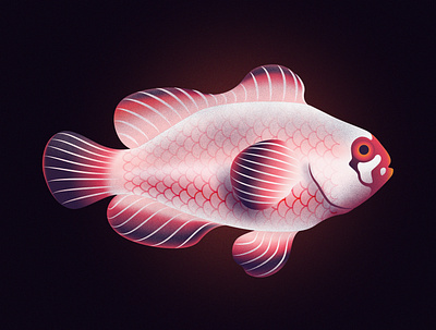 Gold nugget maroon clownfish design fish fishes illustraion illustration illustrator noise noise shadow series vector