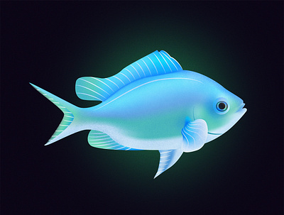 Blue Green Chromis Fish design fish fishes illustraion illustration illustrator noise noise shadow series vector