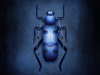 Rosalia Alpina Bug bug bugs design illustraion illustration illustrator noise noise shadow series shadow
