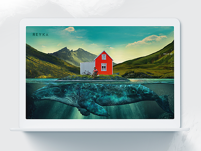 Reyka Redesign - Homepage app ios parallax ui ui design ux uxd web web design