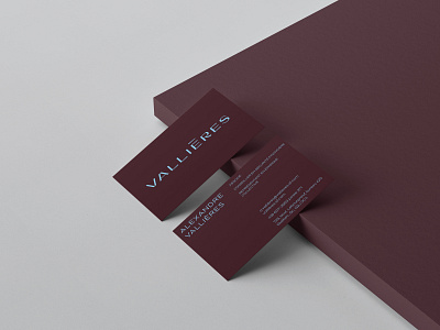 Logo - Vallières Services Financiers brand branding business card business card design colors layout logotype print design typography