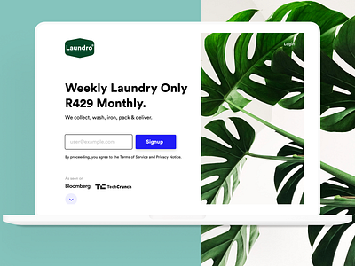 Laundro Homepage Shot app clean design dribbbble green illustration minimal typography ui ux web website