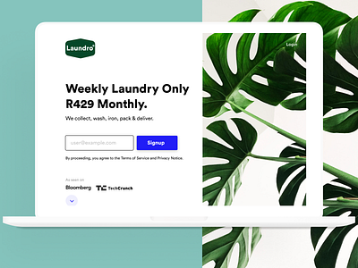 Laundro Homepage Shot