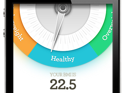 BMI App