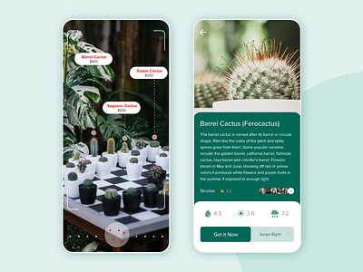 AR Cactus Exploring App