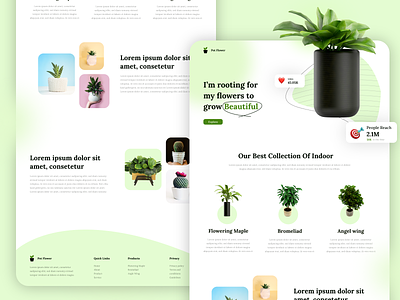 🪴Pot Flower Website Concept Design