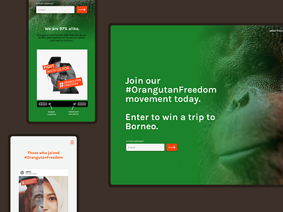 #OrangutanFreedom Webdesign & Development