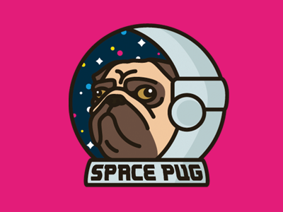 Space Pug