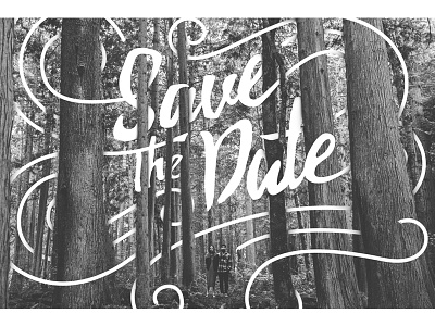 Save The Date forest save the date wedding type