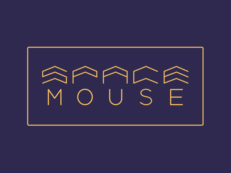 SpaceMouse type typehue