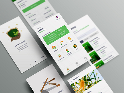 Letsfarm graphic design ui