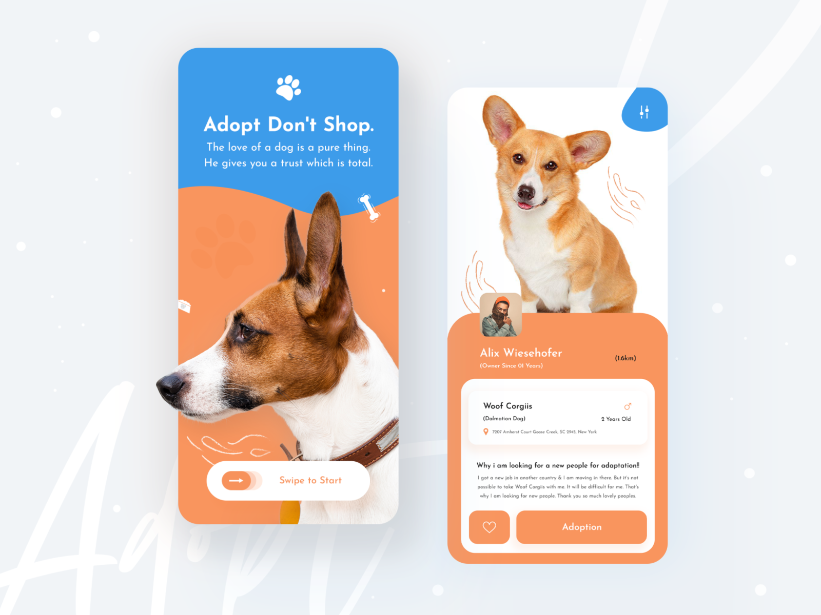 Pets Adoption App 🐶 by Mahmudur Rahman for isavelev on Dribbble