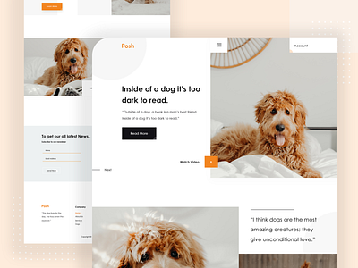 Posh : Dog Landing Page Design 2020 trend color creative dog dog food doggy dribbble landing page logo minimal posh psd design psd template search dog trendy typography ui ux design uiux designer walking website