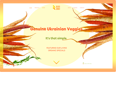 Concept Veggiese carrot food orange organic ukraine vegetarian veggiese yellow