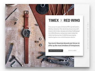 Timex Landing Page 003 daily ui landing page product timex ui ux