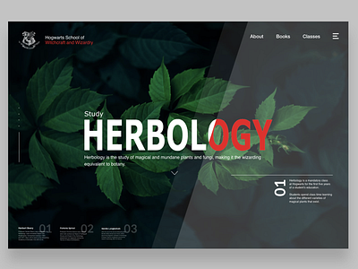 Study Herbology adobexd app brand and identity design harrypotter herbology hogwarts minimal typography ui vector web website wizarding world