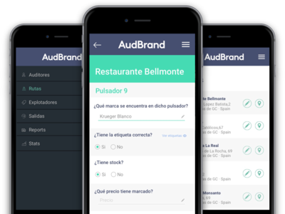 Audbrand Mistery Shopper App android app data analytics data collection ios marketing campaign