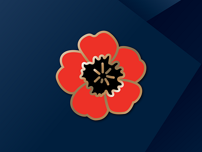 Veterans Day flower illustration illustration poppy