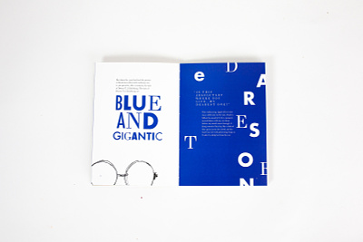 Great Gatsby Typography Book auburn university blue book book design design experimental type experimental typography graphic design greatgatsby the great gatsby typography typography design