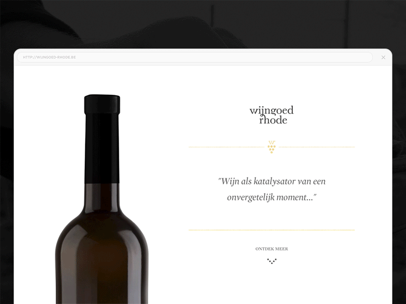 Wijngoed Rhode Website animated minimal onepager website wine