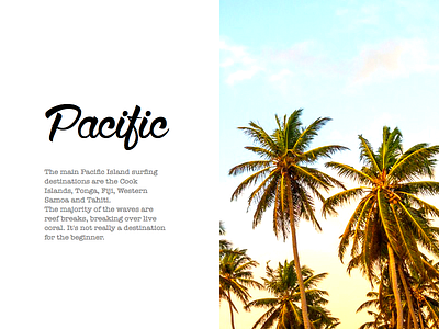 Pacific palms script summer surf surfspot