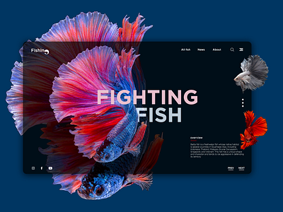 WEB FISHING app branding design identity illustrator minimal ui uxdesign vector web website