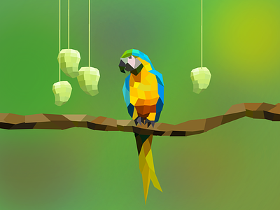 Macaw illustration macaw polygons sketch