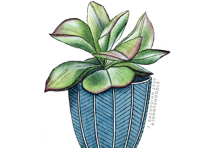 Succulent Plant - Original Watercolor Painting