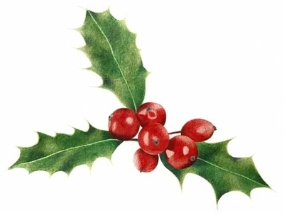 Christmas Holly - Original Watercolor Painting