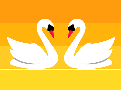 Swans in love love orange swans white