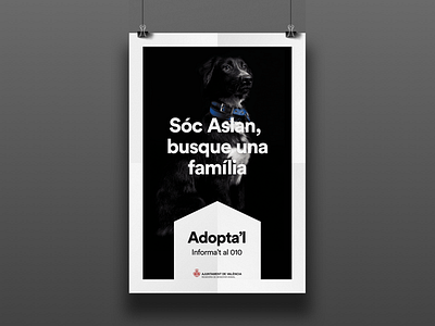 Adopta'l Campaign design dog photo poster