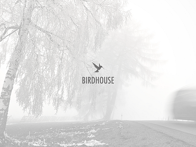 Birdhouse (Concept) bird branding image logo minimal photography type typography white