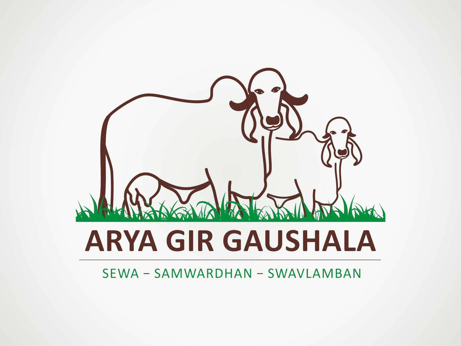 Sourced From Desi Cows Of India - Gir Cow Transparent PNG - 573x457 - Free  Download on NicePNG