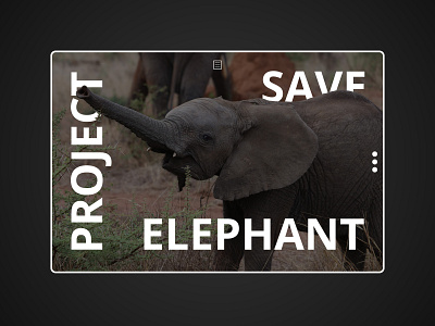 Project Save Elephant animal elephant photoshop psd ui uidesign ux uxdesign webdesign website