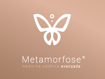 Metamorfose Branding branding illustration logo owl