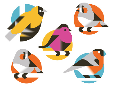 The bird collection animal bird illustration minimal print vector