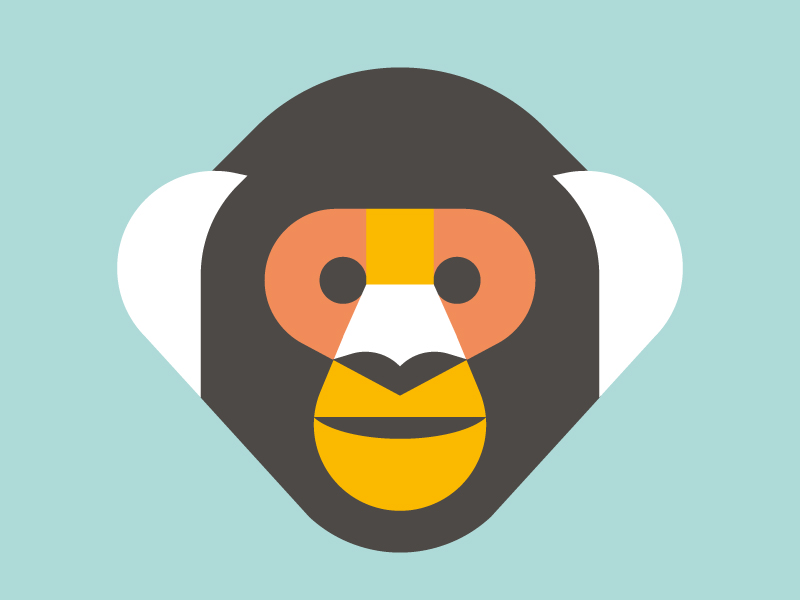 Monkey by Timo Meyer on Dribbble