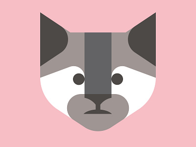 Kitty animal cat illustration tier vector vektorgrafik