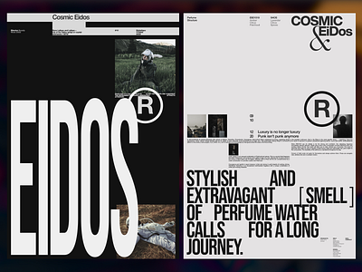 Eidos adobe photoshop branding clean design illustration minimal minimalism style typography