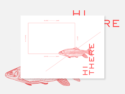 Hi there exploration fish illustration layout red square stationary strokes type