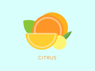 Citrus blue citrus grapefruit lemon lime orange type