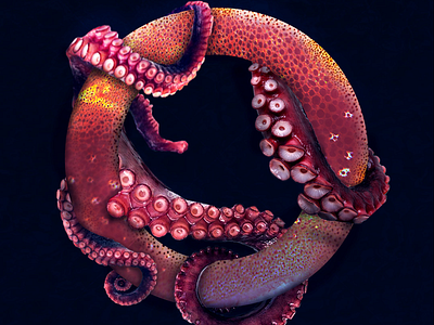 ABC Alphabet by Chike Newman alphabet colour design letters octopus photoshop typography
